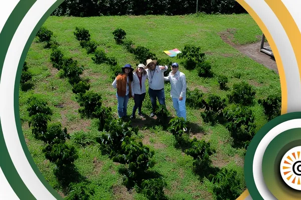 Aerospace Technology and Drones: The New Frontier for Certifying Sustainable Coffee in Colombia