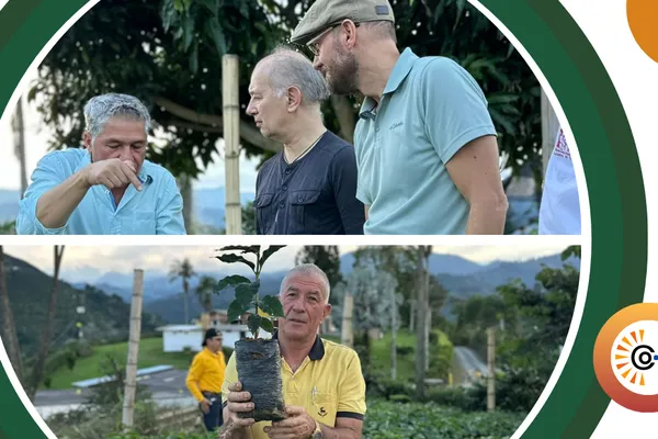 Grounded in Tradition, Growing with Innovation: Coffee Farmers’ Insights on Their Challenges and Hopes