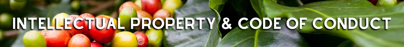 Intellectual Property (3)