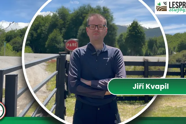 COMUNIDAD Partner Catch-Up: Insights from Jiří Kvapil - Lesprojekt