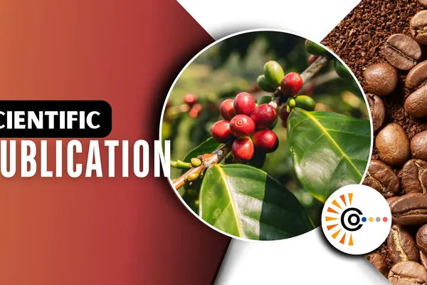 Coffee Husk Valorization Drives Energy Self-Sufficiency and Emission Reduction