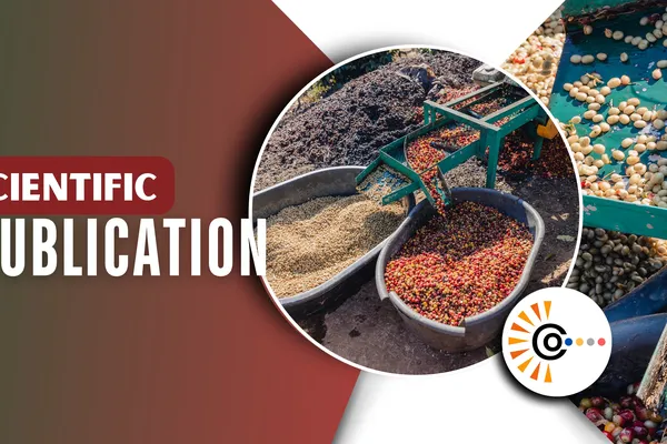 HighEfficiency Bioethanol Production from Maradol Papaya Waste: Batch Fermentation and Fractional Distillation